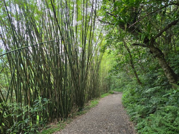 聖母登山步道（抹茶山）、三角崙山（小百岳）2774098