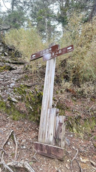 東埔-排雲-玉山西峰-玉山主峰2753193