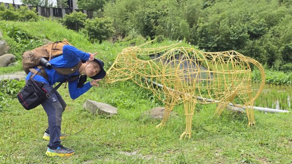 陽明山冷門好走步道平溪步道，欣賞石斛蘭瀑布不用去南部，無敵展望鵝尾山水田，涼爽好走狗殷勤古道。2784863