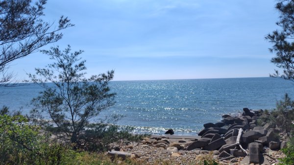 永安綠色隧道2824354