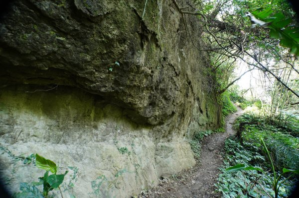 新竹 峨嵋 猿山、六寮山、玖玖山、獅頭山、獅尾山3012149