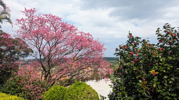 天元宮,楓樹湖,北新庄,淡水老街2430279