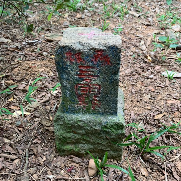 20260523高雄尾寮山連峰(第25刷)3065386