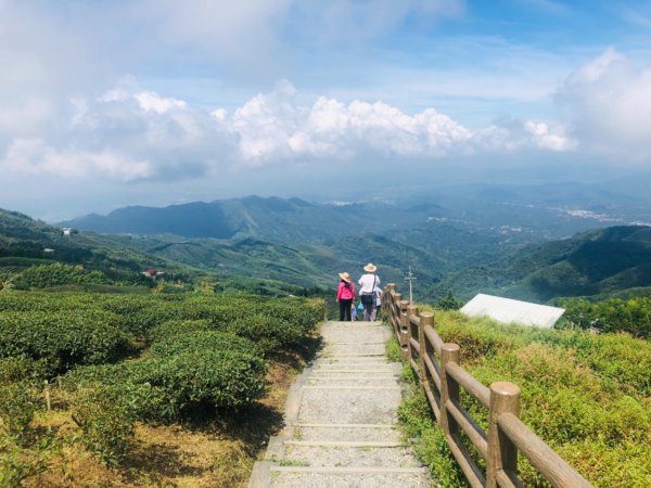 大崙山銀杏之美1331822