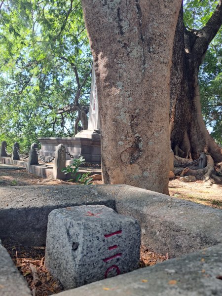 砲台山---台中公園散步去2338916