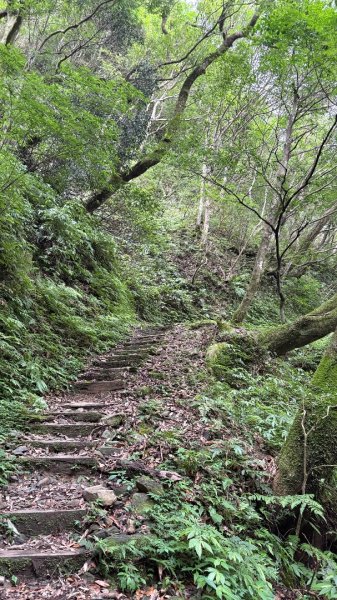 東眼2815842