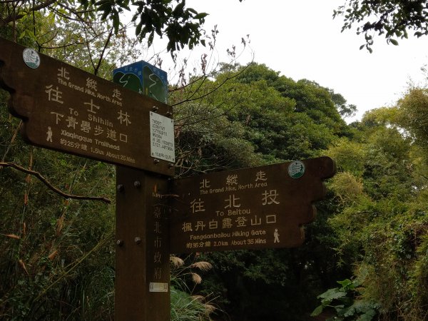 貴子坑下菁嚳步道1453742