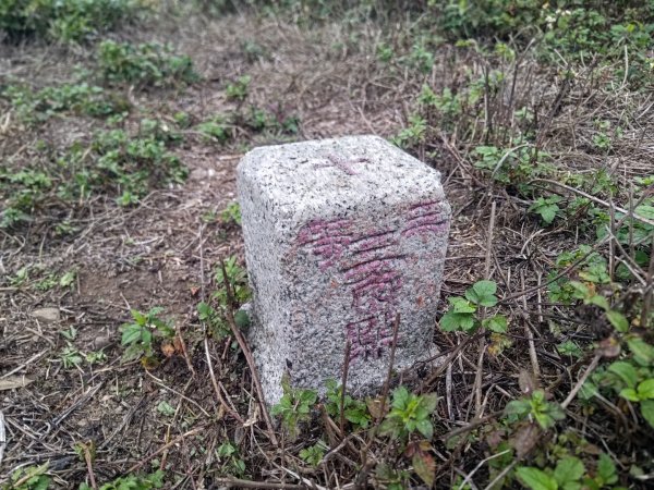 梅山鄉撿山頭2449458