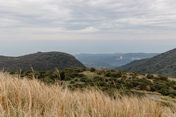 [台北]大屯山2693401