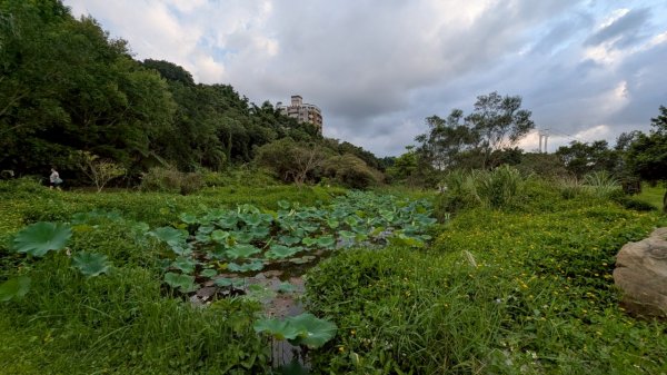 114.06.21山豬湖自然生態之行2819045