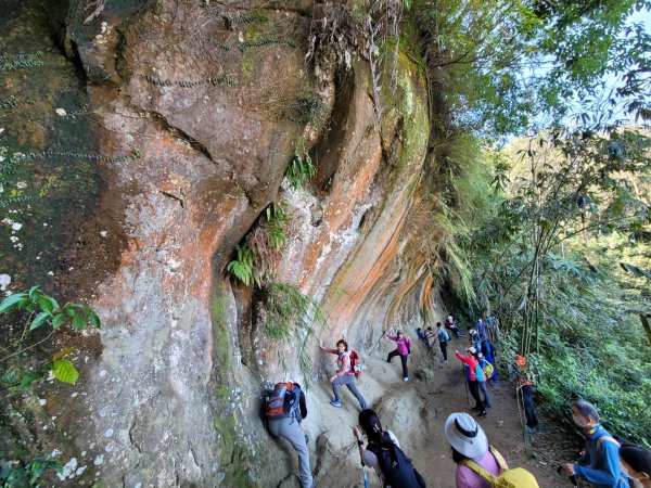 鳶溪縱走(鳶山到大溪老街)1688235