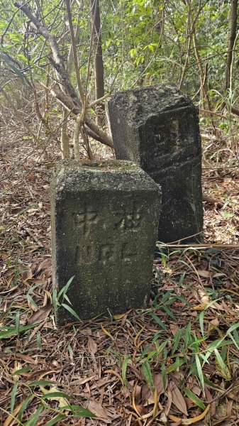 20251218犁頭山-吧哩國山主東峰-石頭坑山西南峰-石頭坑山2967017