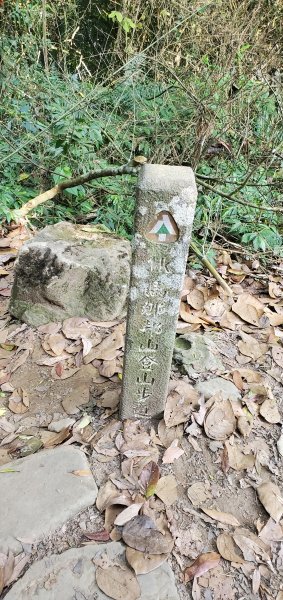 2021-04-11馬那邦山登山步道1346422