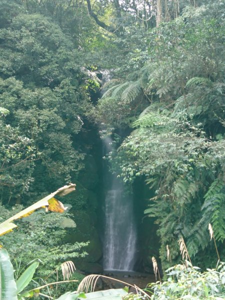 泰安瀑布-姜子寮山步道821748