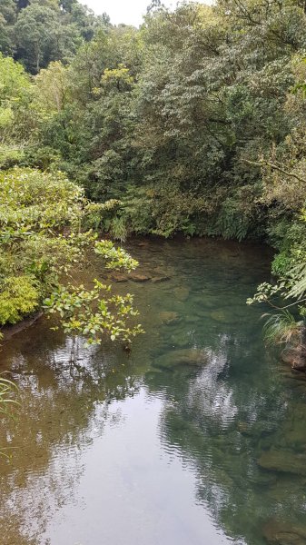 淡蘭古道坪溪段1294154