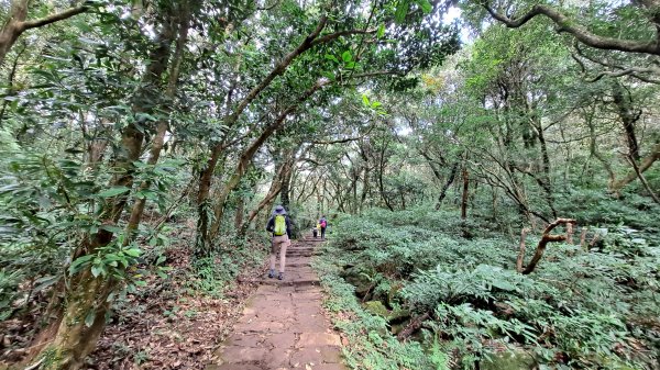 台北大縱走第一段1249193