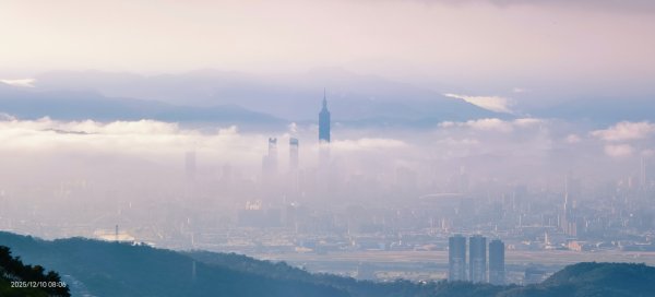 陽明山趴趴走 12/102958582