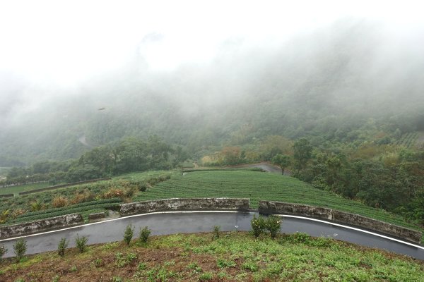 南山寺觀景台3086084