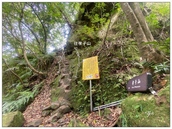孝子山、慈母峰、普陀山 O遶一圈3041697