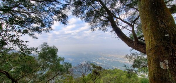 屏東瑪家三兄弟縱走:白賓山H810M、真笠山H1166M、笠頂山H659M小百岳2017484