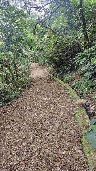 2025050151梗枋山-橋板湖山2774844