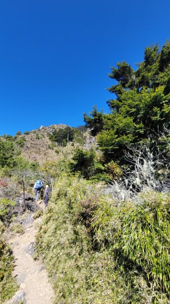 玉山前峰2402062