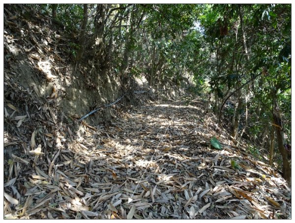 東南坑山(台中-太平)1279620