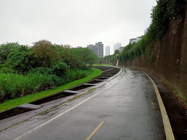 基隆河右岸尋花問草2091128