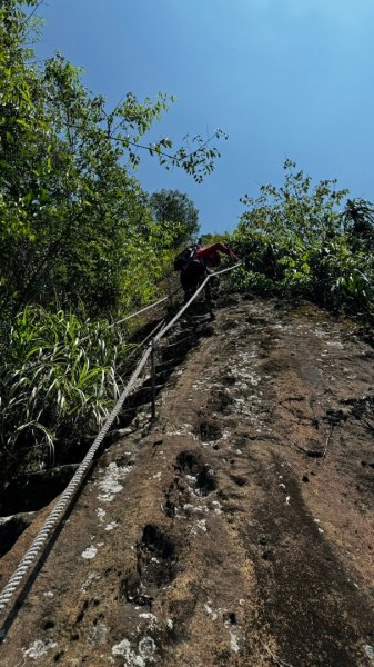 孝子山、普陀山、慈母峰賞鹿子野百合O走2592974