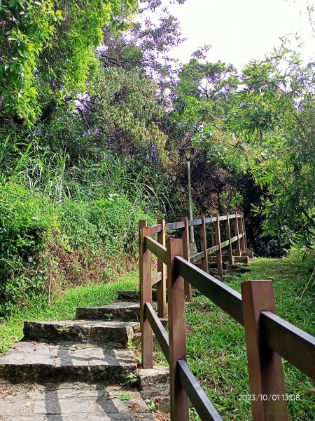 碧湖公園環湖+登山步道【走路趣尋寶、健康大穀東】2301558