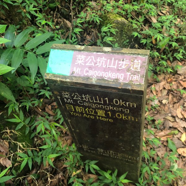 走遍陽明山2162914