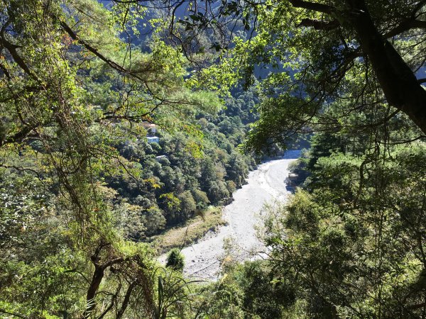 20161119_谷關七雄之四-波津加山873765