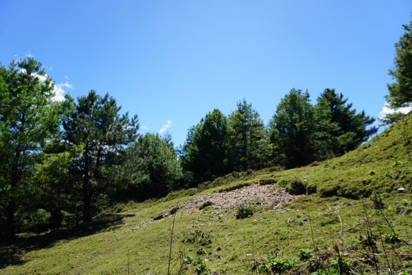 麟趾山一日遊3010207