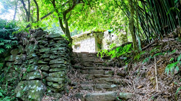 番王厝,番婆厝,王子厝,公主厝2827604