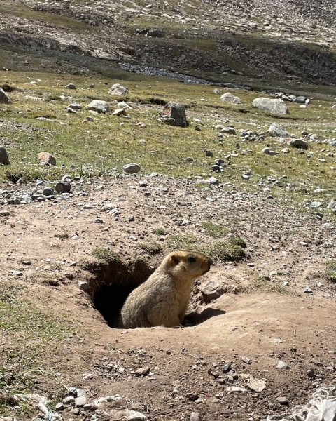 西藏-崗仁波齊轉山/珠峰大本營5200米2897550