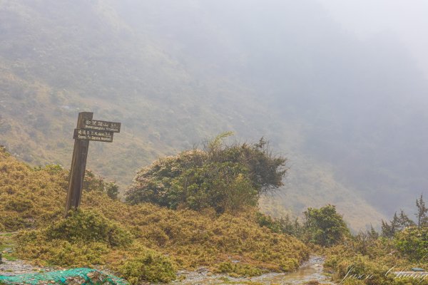 南二段撤退行2743031