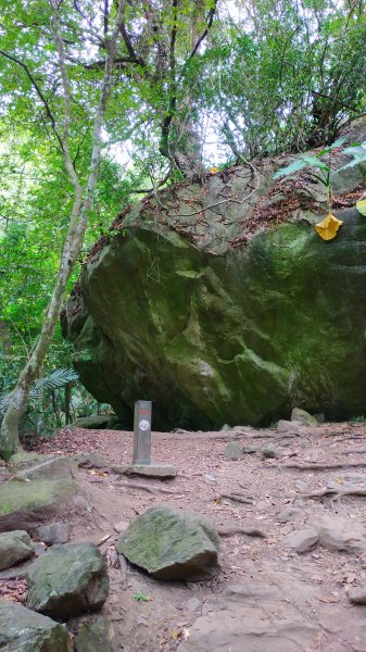 錐麓古道算高山嗎?1122379