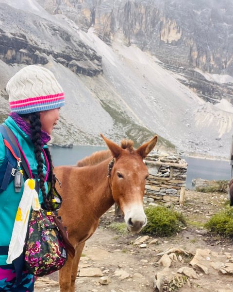 西藏♥️可愛動物🐎人物寫真/拉薩旅拍/美食2902950