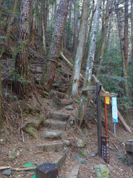 2025.12.06－北坑山步道&雪見遊憩區2956239