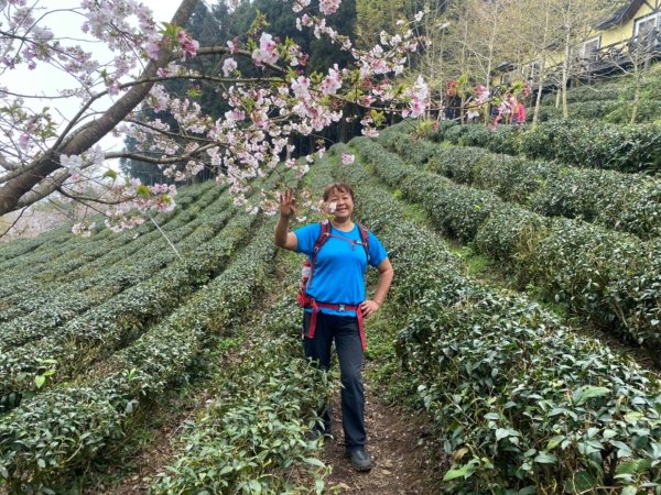 鵝公髻山（小百岳）鵝公髻山東北峰2449879