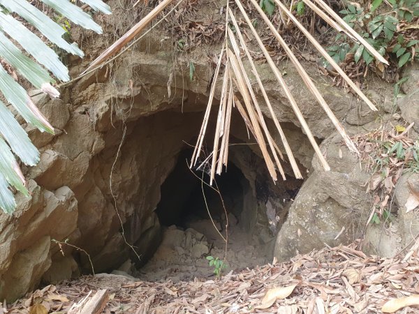 獅頭山登天步道1286368