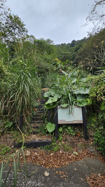 【山形暗影綽綽，我們步履不停，只為那枚海拔千尺下的獨特三角點。】小百岳#044暗影山2943630