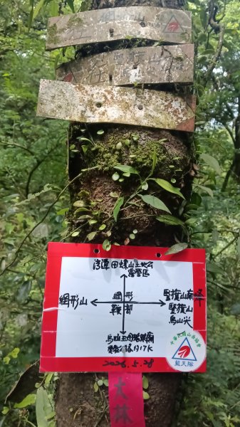雙溪區烏山越嶺古道西段3073303