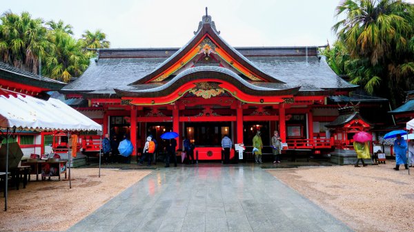 宮崎青島,母智丘,桷志田,櫻島,渡輪3027890