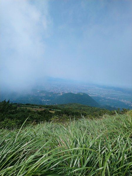 翻山越嶺賞花趣～586442