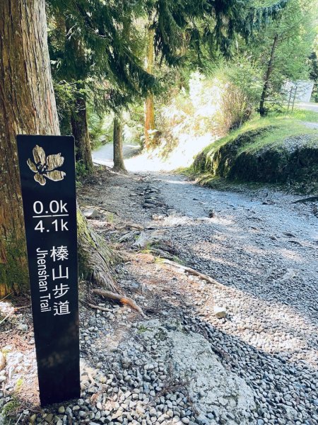 20260531觀霧榛山登山步道（榛山北峰+主峰+環形步道）3071467