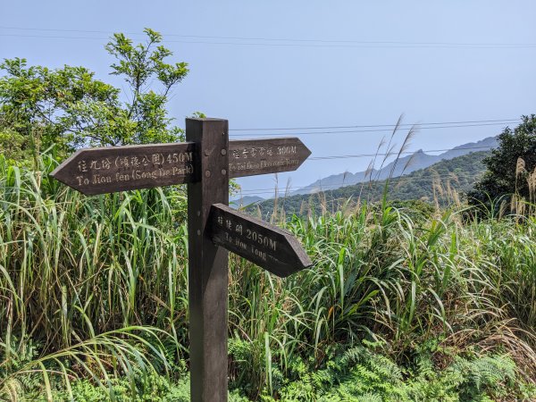 小粗坑古道往九份+樹梅坪古道接貂山889457