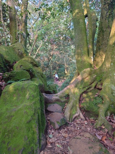 桃園石門山登山步道2208338