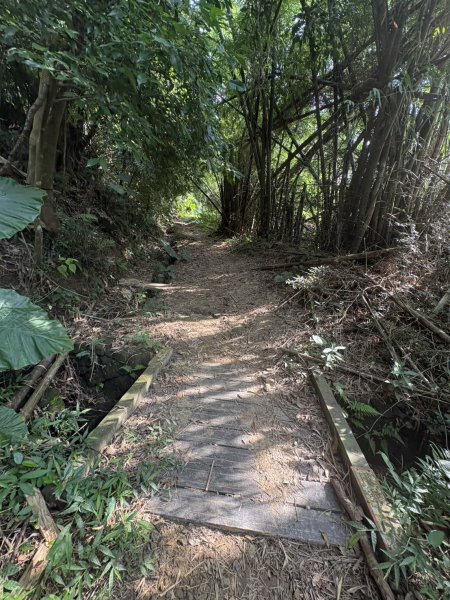 20251010南化龍麟山步道2914988