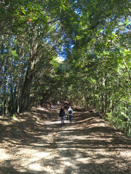 2025.12.06－北坑山步道&雪見遊憩區2956231